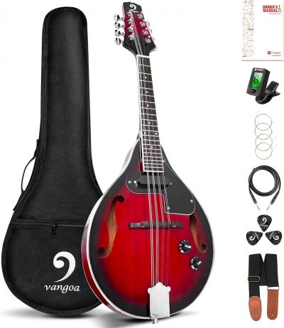 compratuguitarra-guitarras-especiales-instrumentos-mandolina